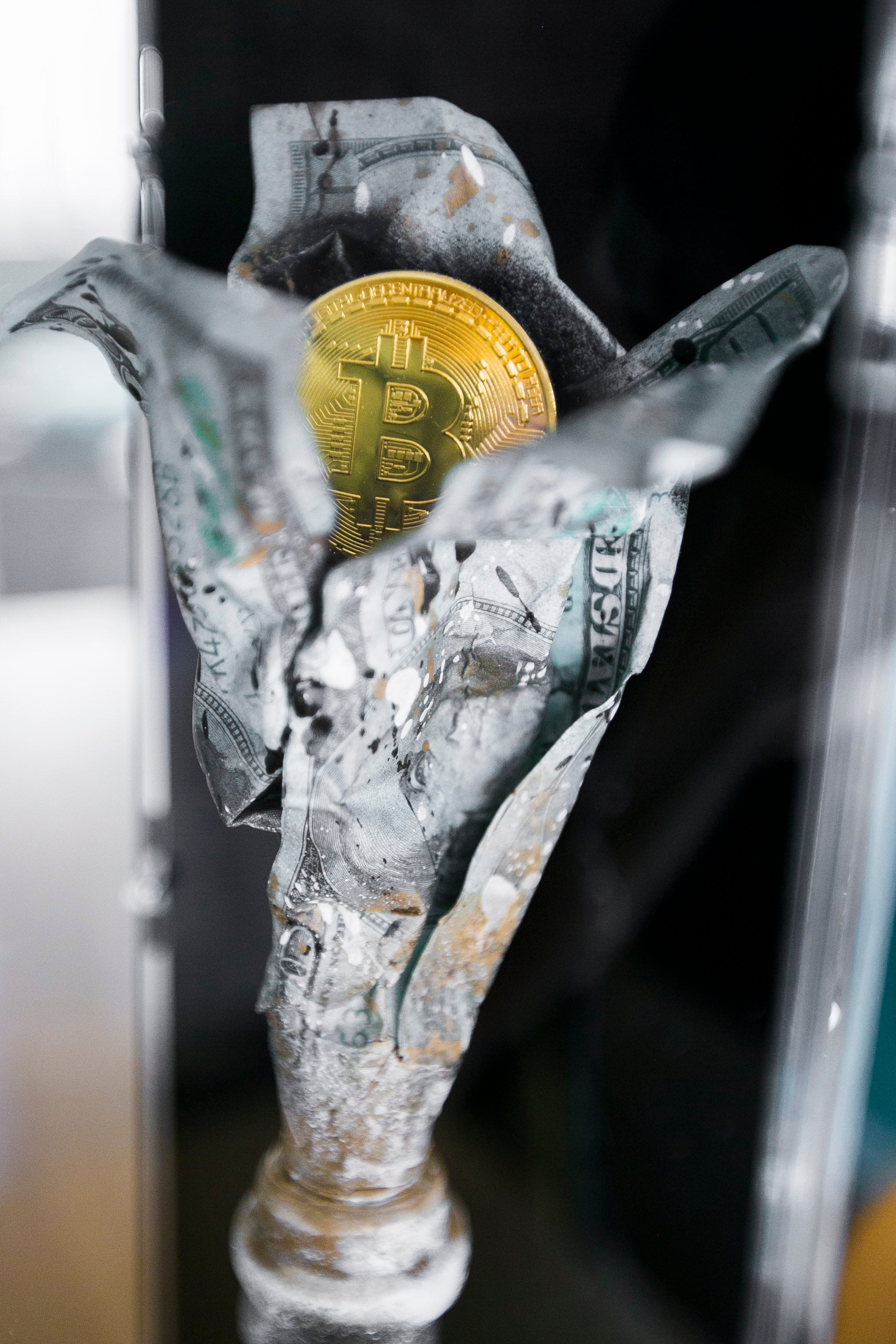 Bitcoin Bottle „Mass Adoption“